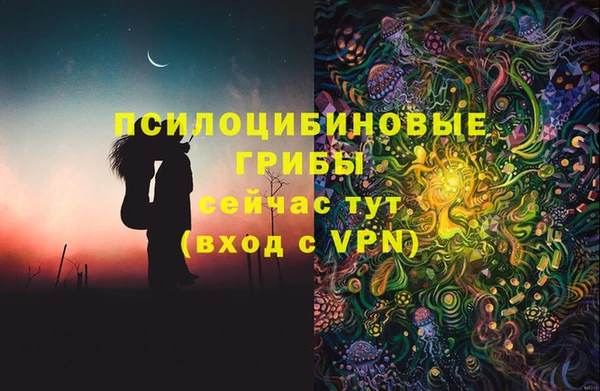 молекула духа Володарск