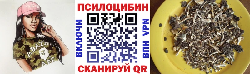 нарко площадка клад  Карабулак  Галлюциногенные грибы GOLDEN TEACHER  сколько стоит 